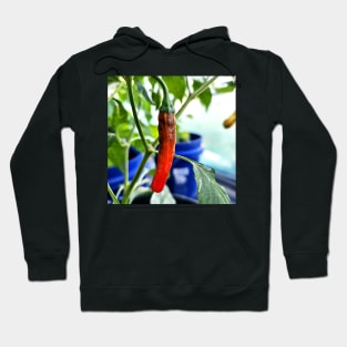 Tiger Thunder Pepper Hoodie